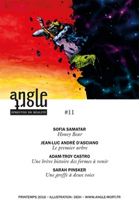 Jean-Luc André d'Asciano et Adam-Troy Castro - Angle Mort numéro 11.