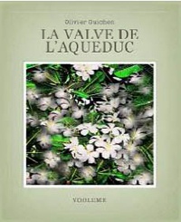 Olivier Guichon - La valve de l'aqueduc. 1 CD audio