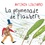 Antonin Louchard - La promenade de Flaubert.