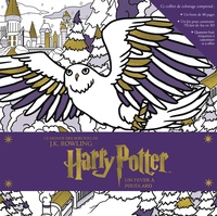  Huginn & Muninn - Harry Potter, un hiver à Poudlard.