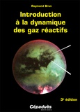 Raymond Brun - Introduction à la dynamique des gaz réactifs.