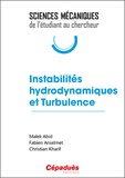 Malek Abid et Fabien Anselmet - Instabilités hydrodynamiques et turbulence.