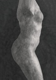 Emmanuel Berry et Hélène Pinet - Rodin.