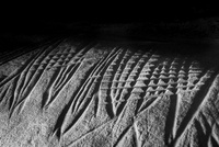 Mémoire rupestre. Les roches gravées du massif de Fontainebleau