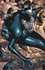 Ann Nocenti et Scott McDaniel - Catwoman Tome 4 : La main au collet.