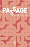 Karel Pecka - Passage.