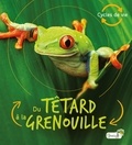 Camilla de La Bédoyère - Du têtard à la grenouille.