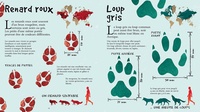 Les traces des animaux