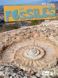 Audrey Ottonelli - Les fossiles.