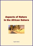 Angelo Heilprin - Aspects of Nature in the African Sahara.