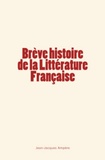 Jean-Jacques Ampère - Brève histoire de la Littérature Française.