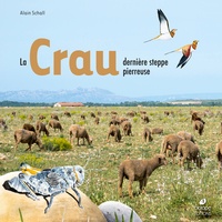 Alain Schall - La Crau, dernière steppe pierreuse.