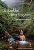 François Meurgey et Lionel Picard - Les libellules des Antilles françaises - Ecologie, biologie, biogéographie et identification.