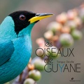 Tanguy Deville - Les oiseaux de Guyane.