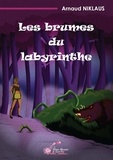 Arnaud Niklaus - Les brumes du labyrinthe.