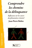 Jean-Pierre Bedou - Comprendre les chemins de la délinquance - Réflexions sur les causes du phénomène criminel.