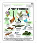  Deyrolle pour l'avenir - Forêt d'Amazonie - Poster 50x60.