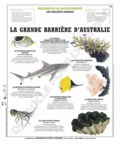  Deyrolle pour l'avenir - La grande barrière de corail - Poster 50x60.