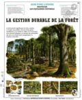 Deyrolle pour l'avenir - La gestion durable de la forêt - Poster 50x60.