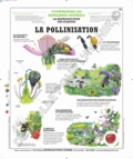  Deyrolle pour l'avenir - La pollinisation - Poster 50x60.