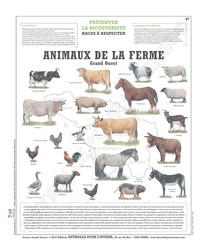  Deyrolle pour l'avenir - Les animaux de la ferme - Grand Ouest, Planche 66x80 recto/verso.