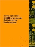Masse Lo et Oussouby Touré - Les synergies entre le NEPAD et les accords multilatéraux sur l'environnement.