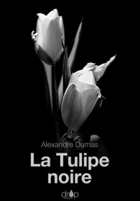 Alexandre Dumas - La Tulipe noire.