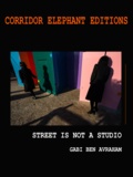 Gabi Ben Avraham - Street is not a studio.