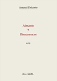 Arnaud Delcorte - Aimants + rémanences.