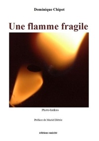 Dominique Chipot - Une flamme fragile.