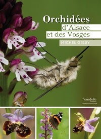 Michel Gissy - Orchidées d'Alsace et des Vosges.