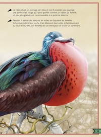 Le Livre extraordinaire des oiseaux spectaculaires