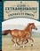 Simon Mendez et Val Walerczuk - Le Livre extraordinaire des chevaux et poneys.