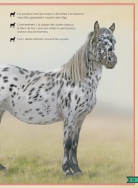 Le Livre extraordinaire des chevaux et poneys