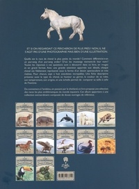 Le livre extraordinaire des chevaux et poneys. Avec des stickers