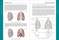 Anatomie de la voix. Guide pratique en images pour les chanteurs, orateurs et professionnels de la voix