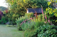 Tout le jardin et le potager selon Stéphane Marie