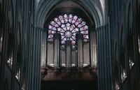 Notre-Dame de Paris. Cathédrale éternelle