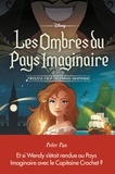  Disney - Les Ombres du Pays Imaginaire - Twisted Tale, un roman graphique.