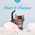  Anonyme - Le calendrier des chats & chatons.