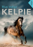 Blue Indigo - Kelpie.