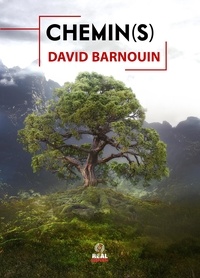 David Barnouin - Chemin(s).