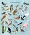 Anne Baudier et Rebecca Romeo - Mon beau livre de la nature - A la découverte des petites bêtes et des oiseaux….