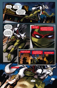 Teenage Mutant Ninja Turtles - Les tortues ninja  Heroes