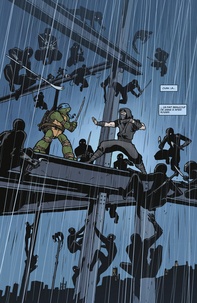Teenage Mutant Ninja Turtles - Les tortues ninja  Heroes