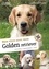 Florence Desachy - Bien vivre avec mon golden retriever - Education, comportement, soins.