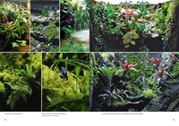 Créer un terrarium tropical humide. Installation, plantation, entretien, guide complet des plantes