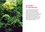 Gabriel Primetens - Créer un terrarium tropical humide - Installation, plantation, entretien, guide complet des plantes.