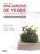 Gabriel Primetens - Mini-jardins de verre & terrariums déco - 20 réalisation pas à pas.