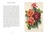 Michel Beauvais - Le petit livre des roses - Avec 10 cartes postales offertes.